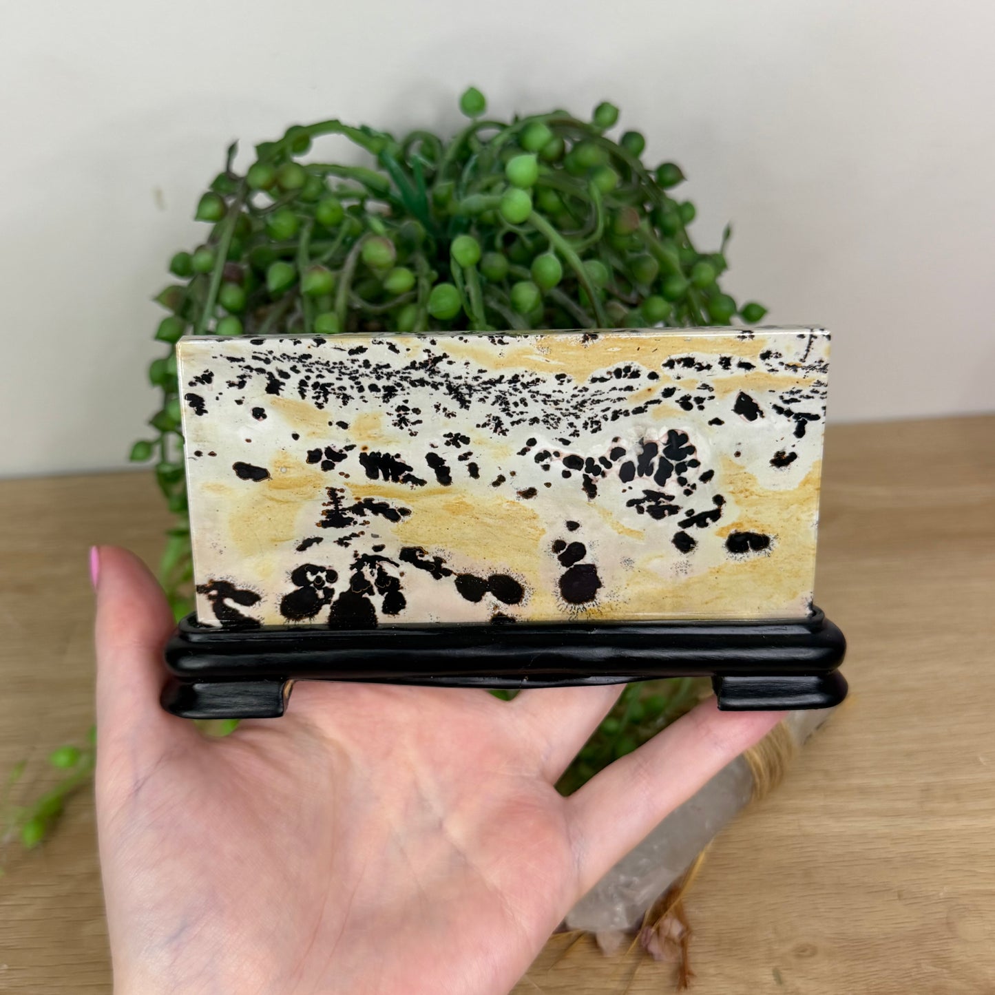 Picture Stone Jasper Slab On Stand (X232)