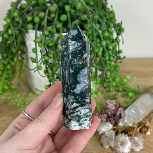 Moss Agate Point (N174)