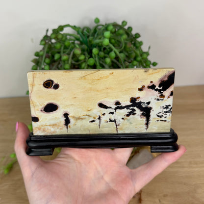 Picture Stone Jasper Slab On Stand (X228)