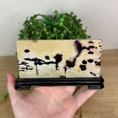 Picture Stone Jasper Slab On Stand (X228)