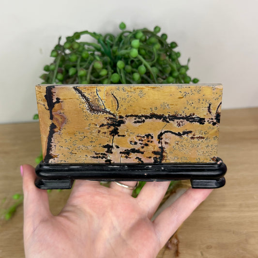Picture Stone Jasper Slab On Stand (X233)