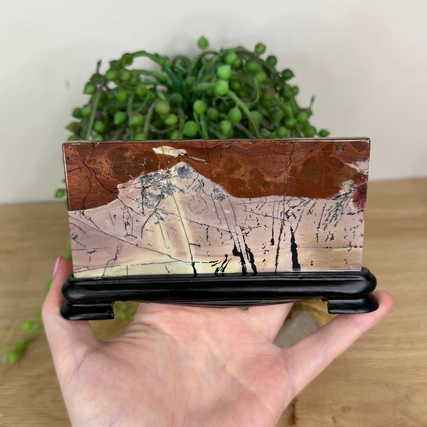 Picture Stone Jasper Slab On Stand (X231)