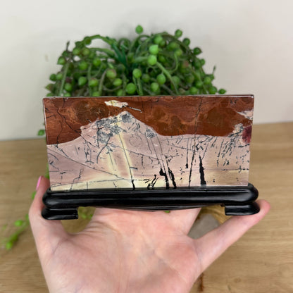 Picture Stone Jasper Slab On Stand (X231)