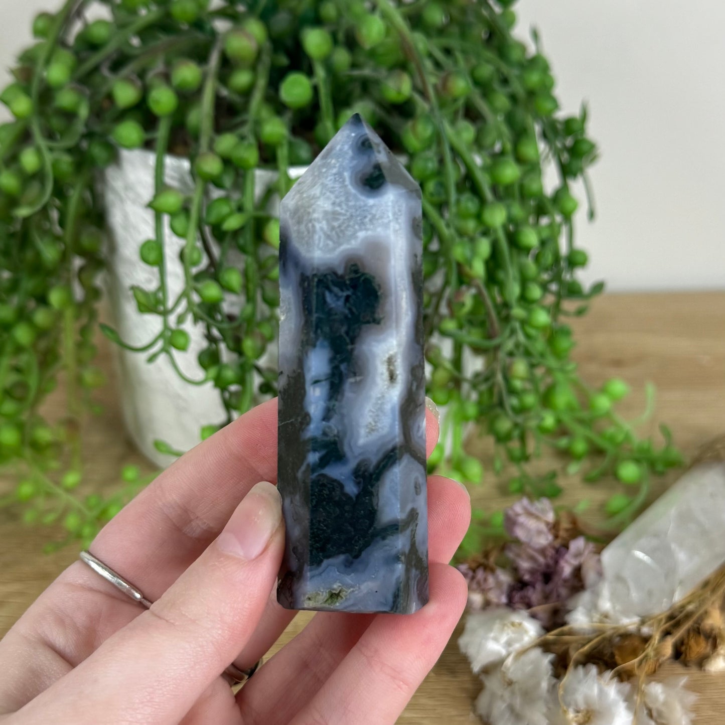Moss Agate Point (N171)