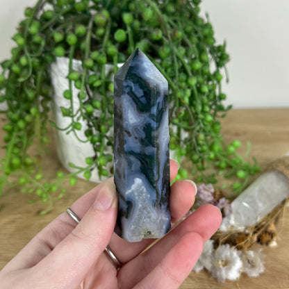 Moss Agate Point (N171)