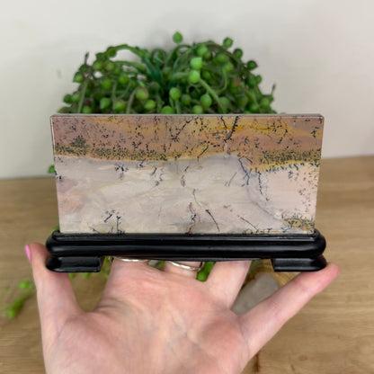 Picture Stone Jasper Slab On Stand (X229)