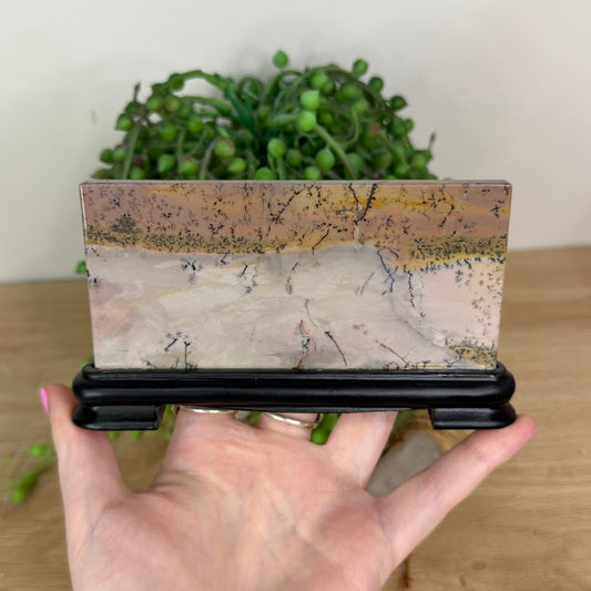 Picture Stone Jasper Slab On Stand (X229)