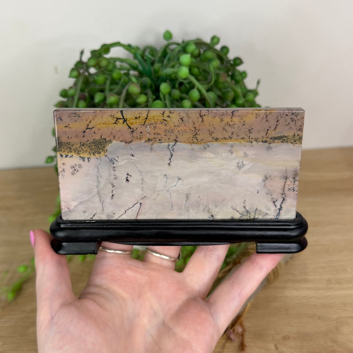 Picture Stone Jasper Slab On Stand (X229)