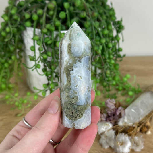 Moss Agate Point (N169)