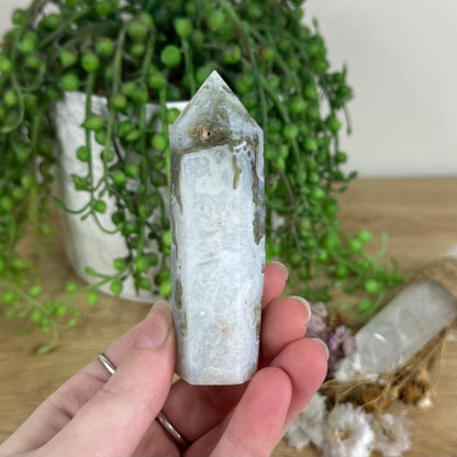 Moss Agate Point (N169)