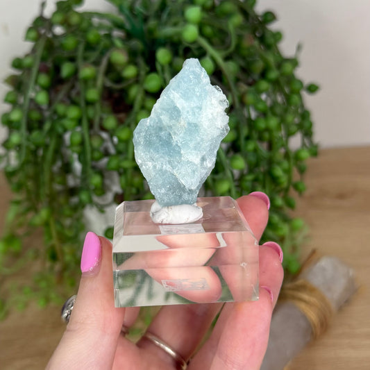 Aquamarine Raw On Stand (X274)