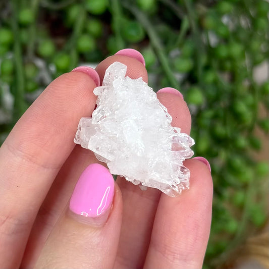 Clear Quartz Cluster (X288)