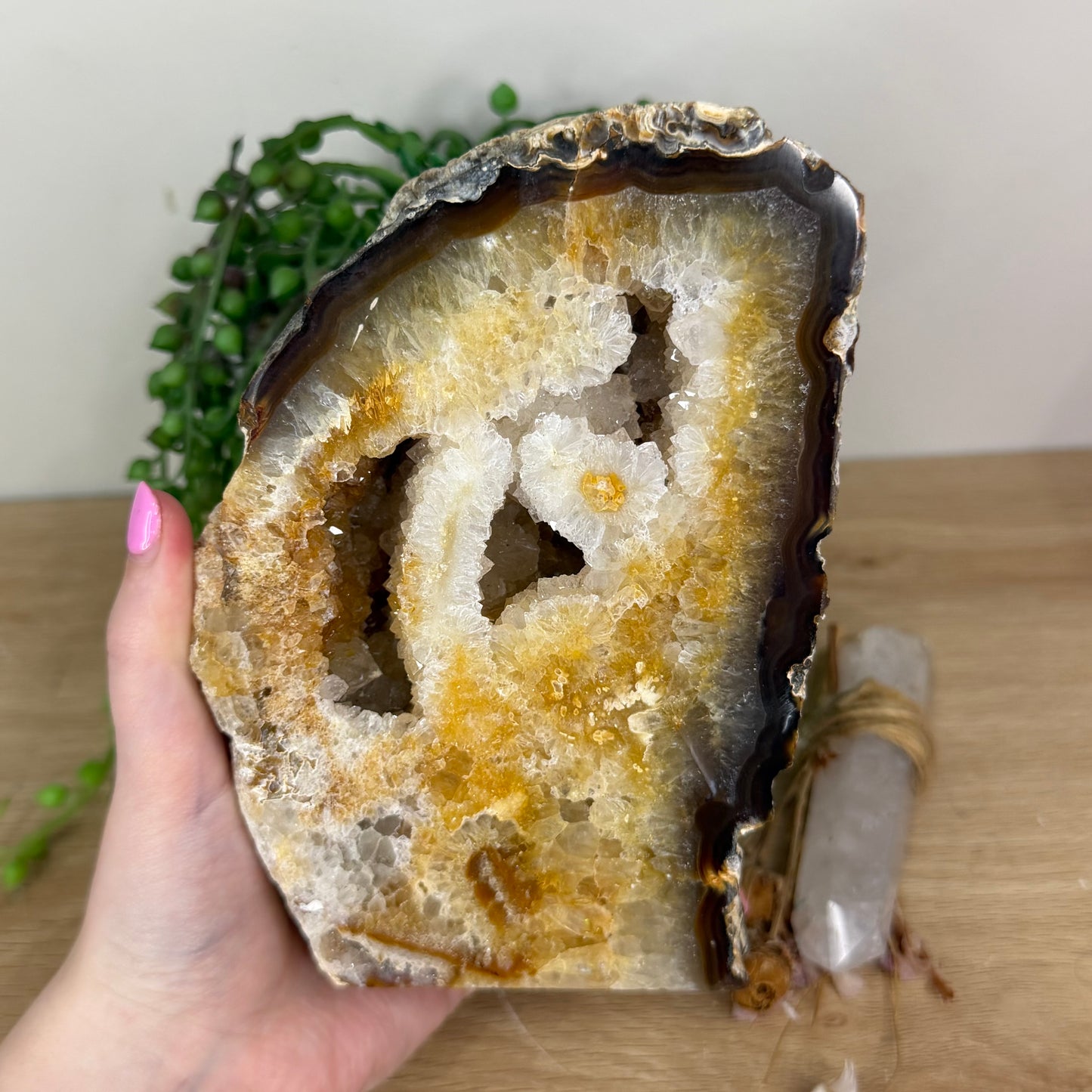 Golden Healer / Agate Geode Cave (X301)