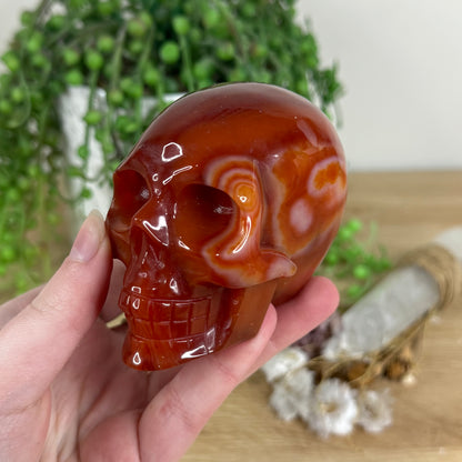 Carnelian Skull (N268)