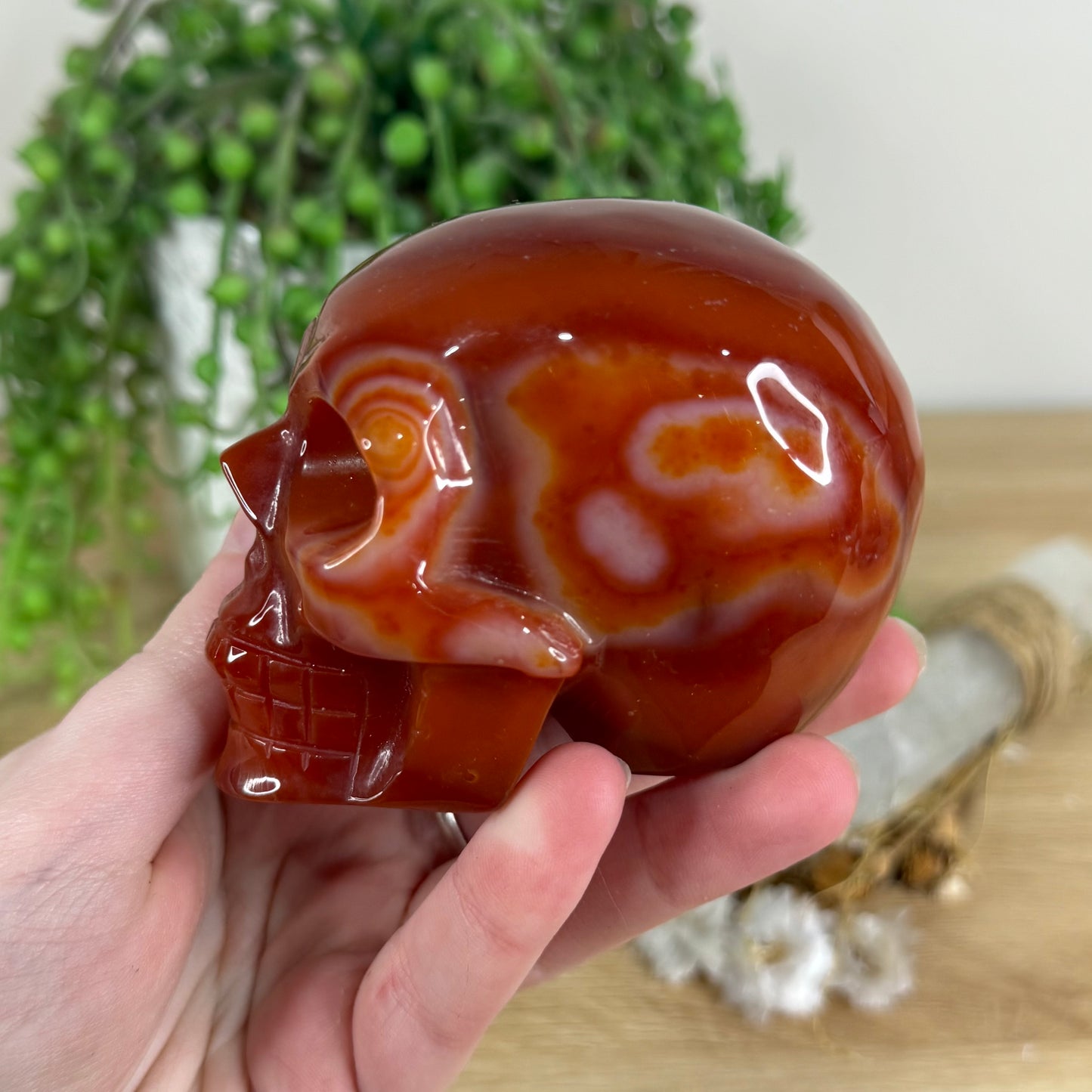 Carnelian Skull (N268)