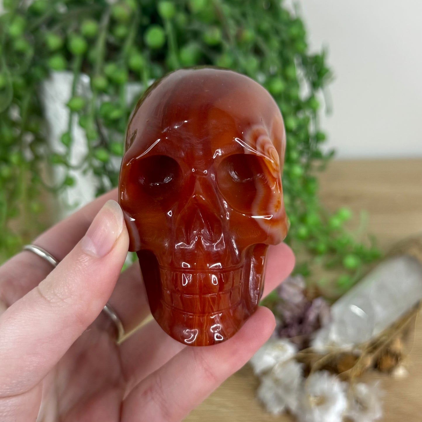 Carnelian Skull (N268)