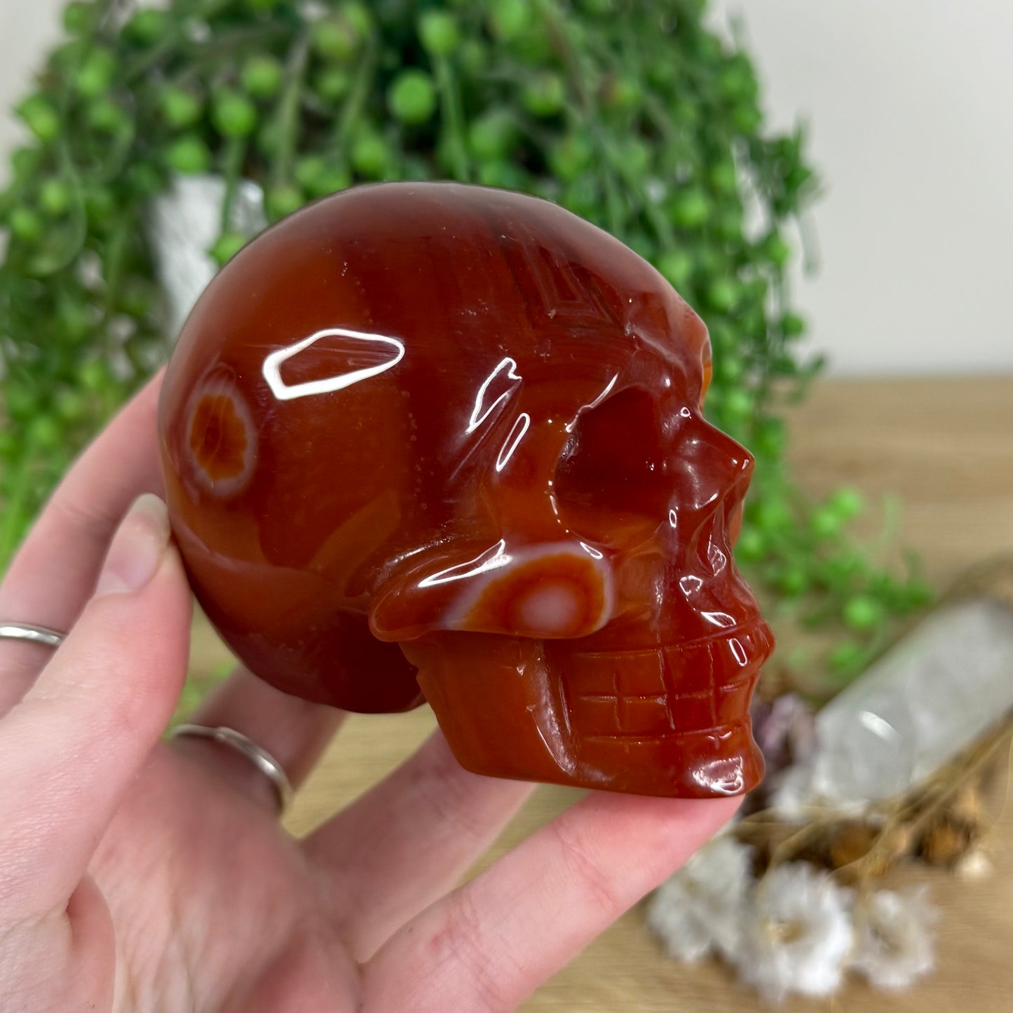 Carnelian Skull (N268)