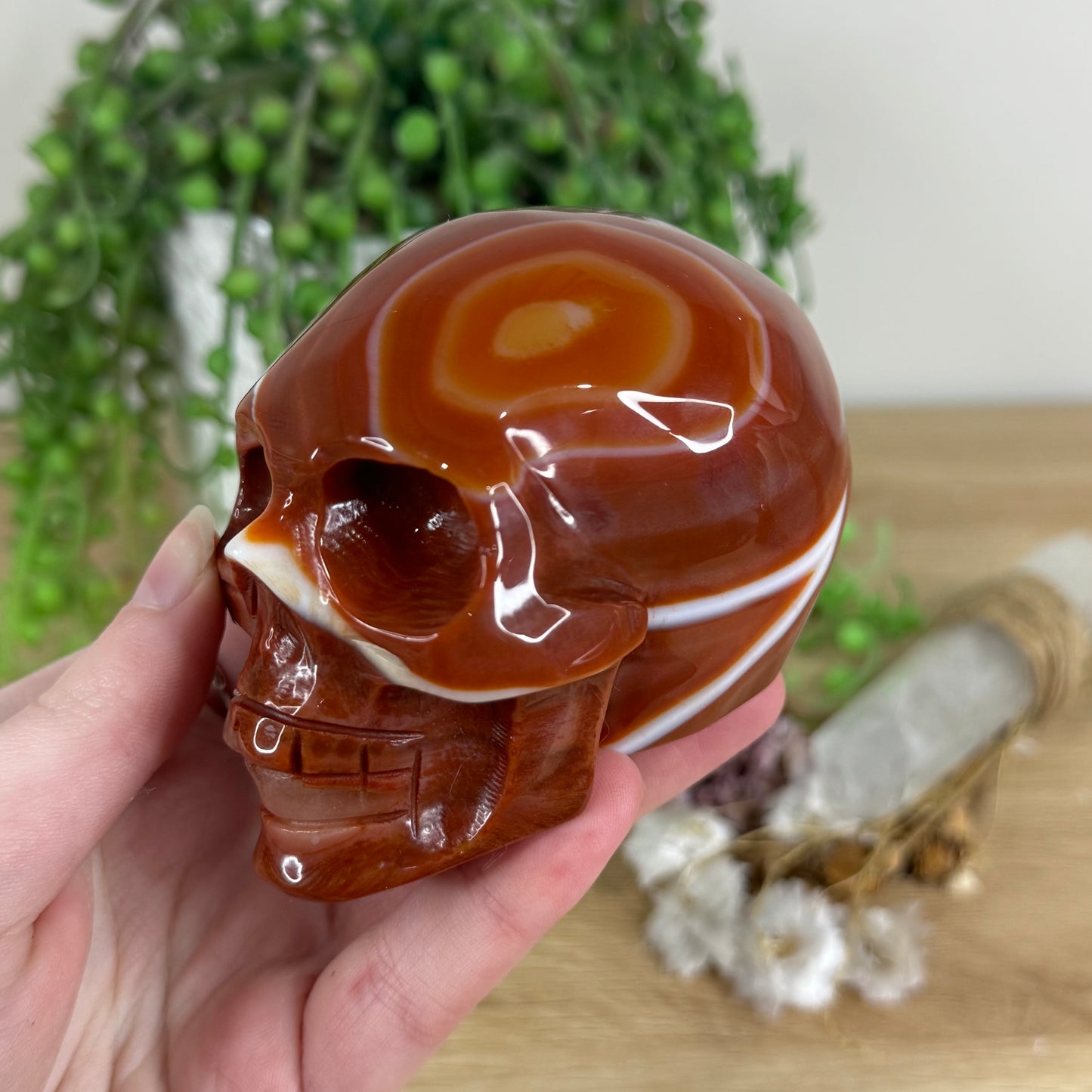 Carnelian Skull (N239)