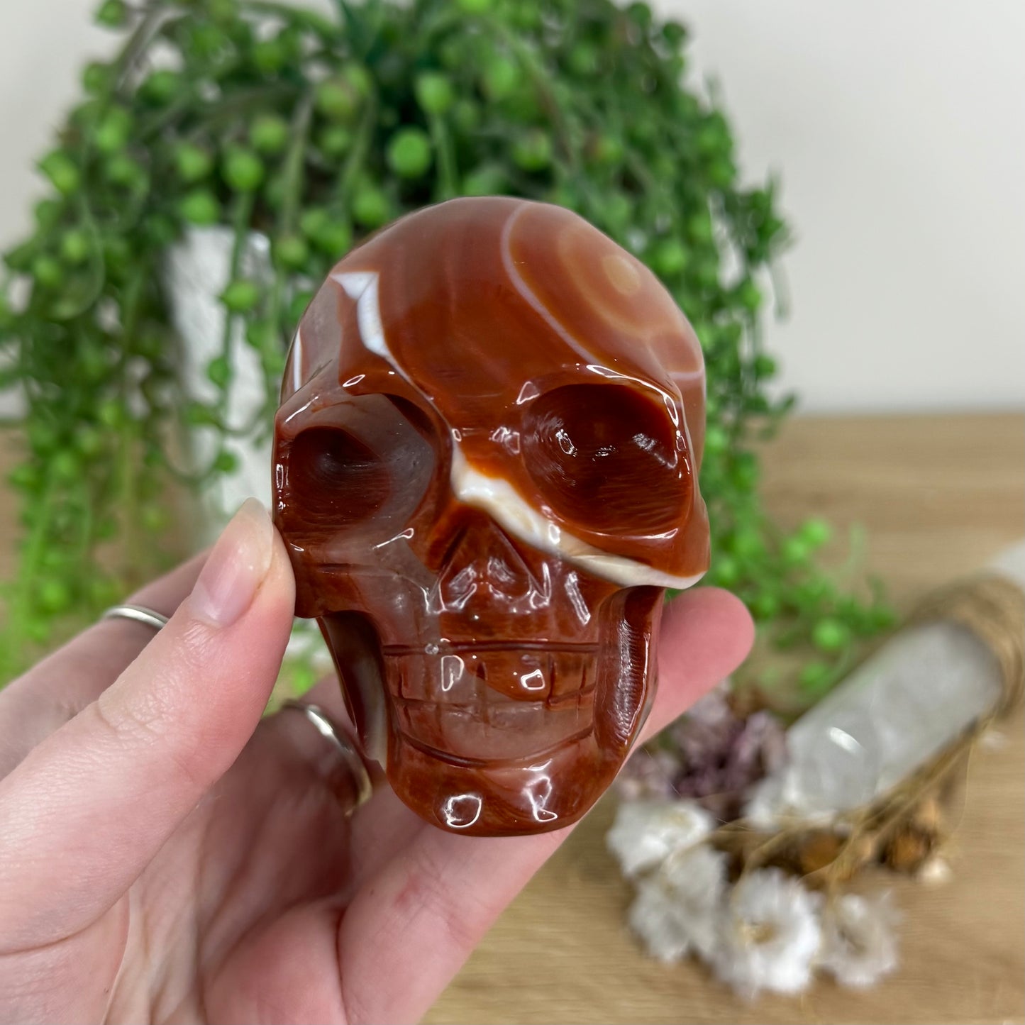 Carnelian Skull (N239)