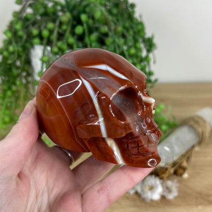 Carnelian Skull (N239)