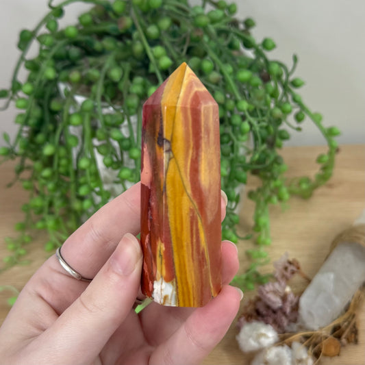 Mookaite Point (R359)