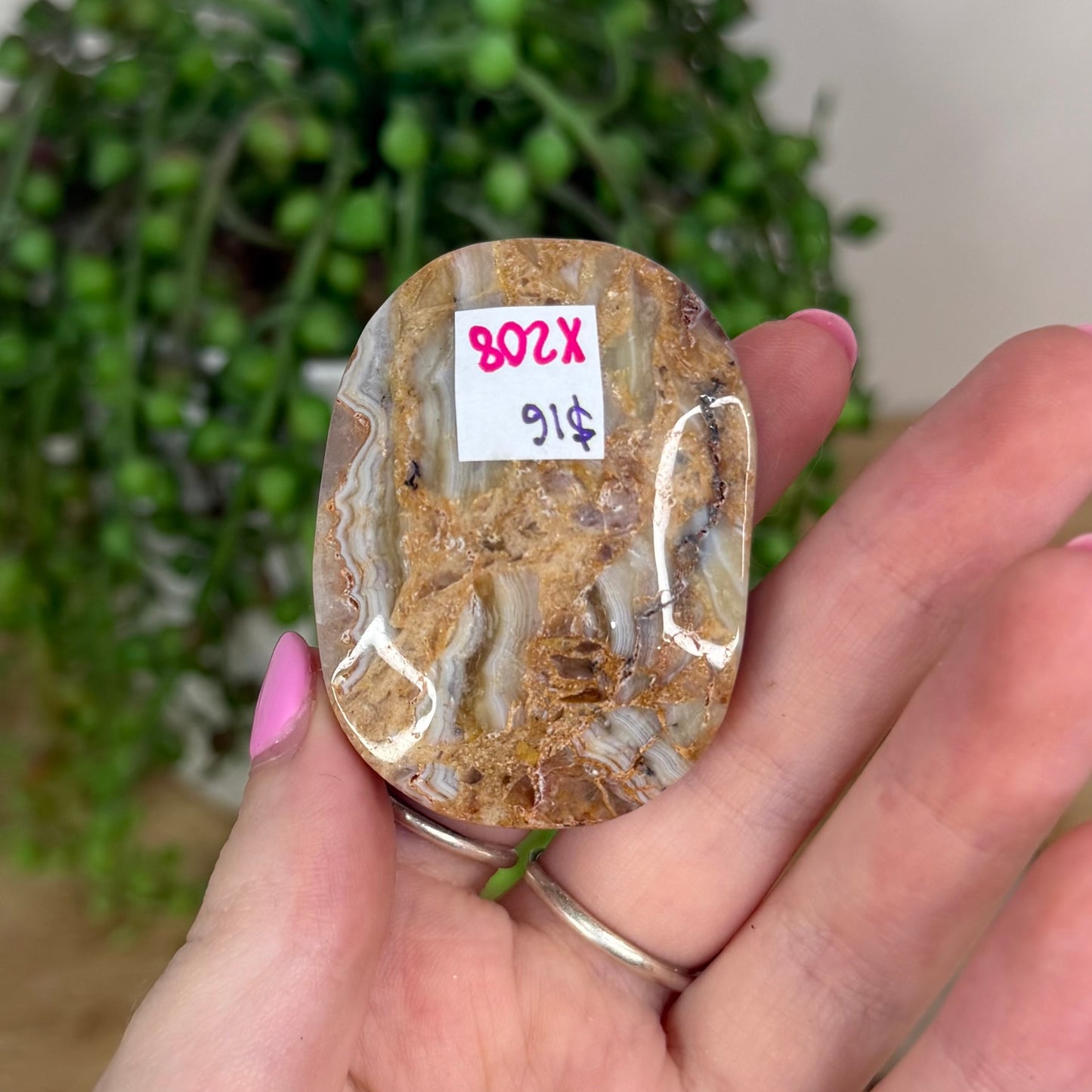 Amethyst / Mexican Crazy Lace Agate Palm Stone (X208)