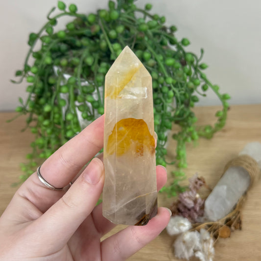 Golden Healer Point (R323)