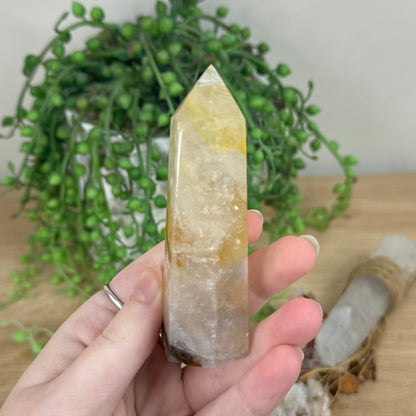 Golden Healer Point (R323)