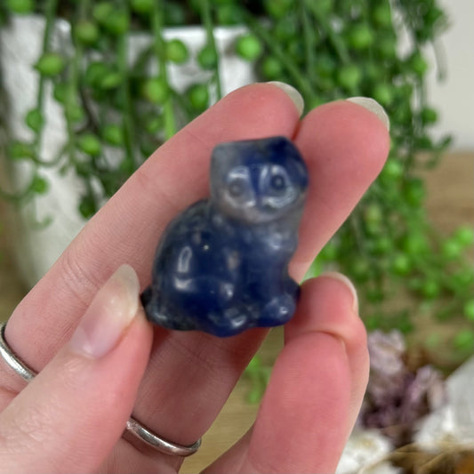 Sodalite Small  Cat (N190)