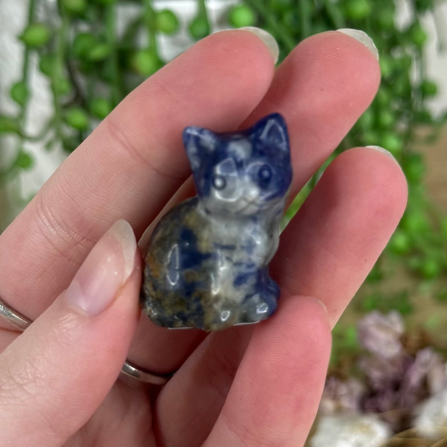 Sodalite Small Cat (N189)