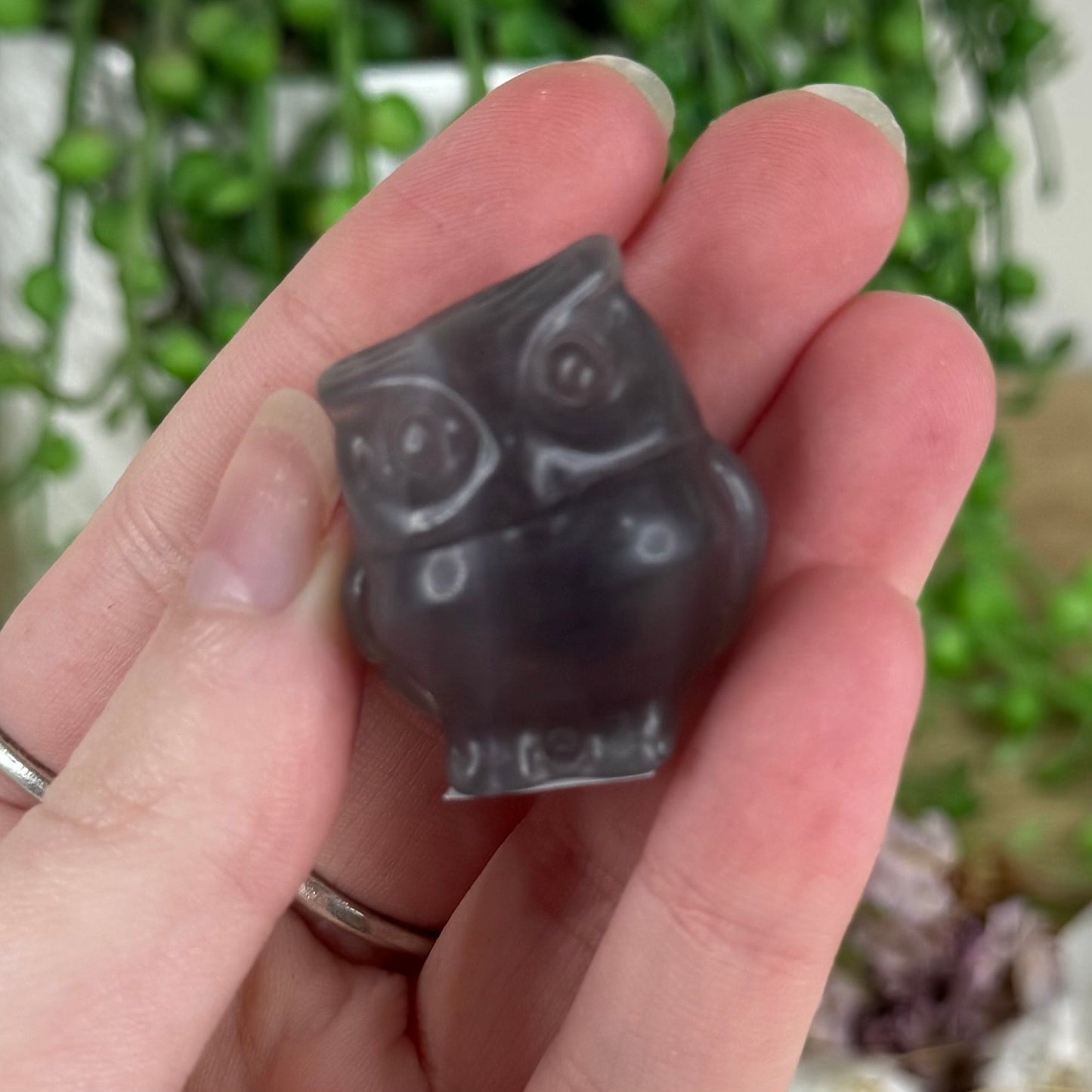 Purple Fluorite Small Owl (N207)