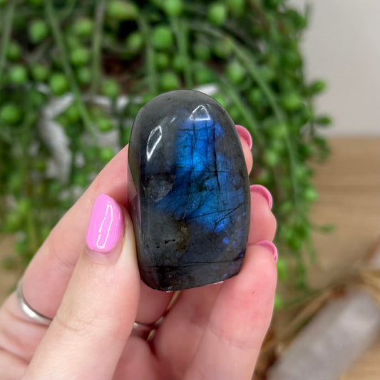 Labradorite Free Form (X434)