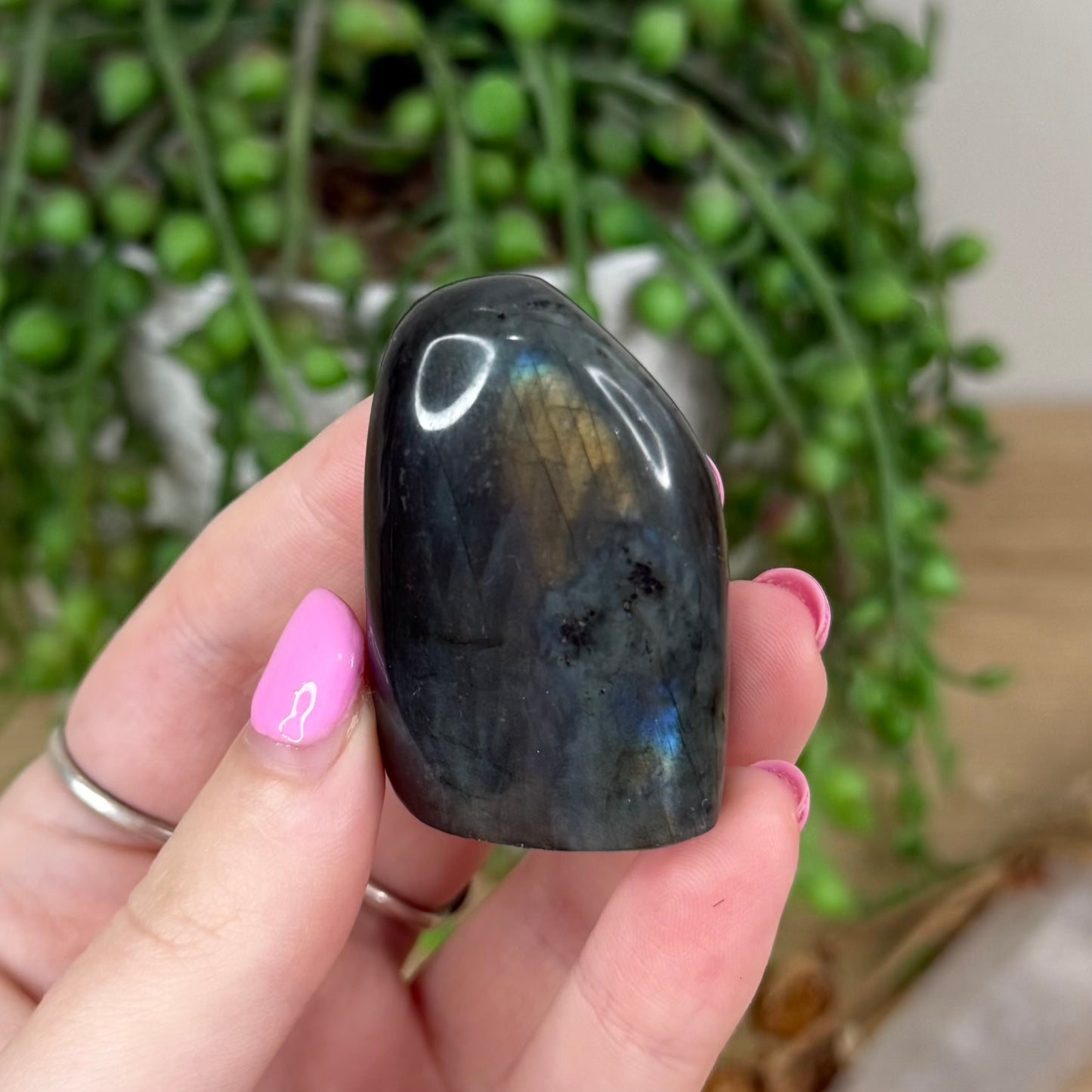 Labradorite Free Form (X437)