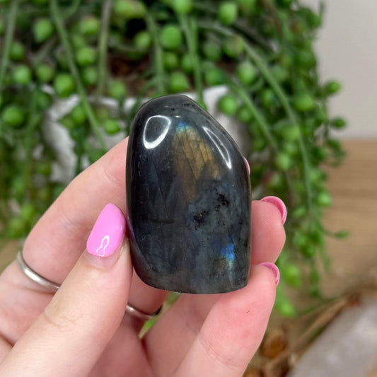 Labradorite Free Form (X437)