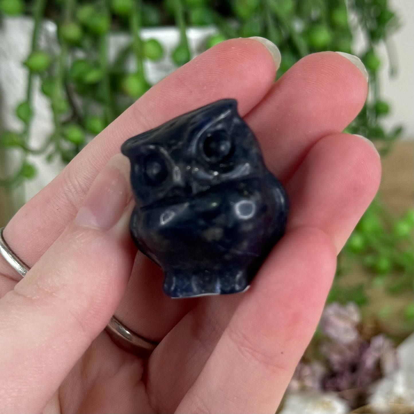 Sodalite Small Owl (N217)