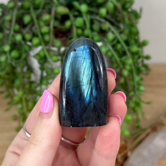 Labradorite Free Form (X440)