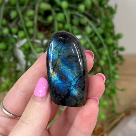 Labradorite Free Form (X439)