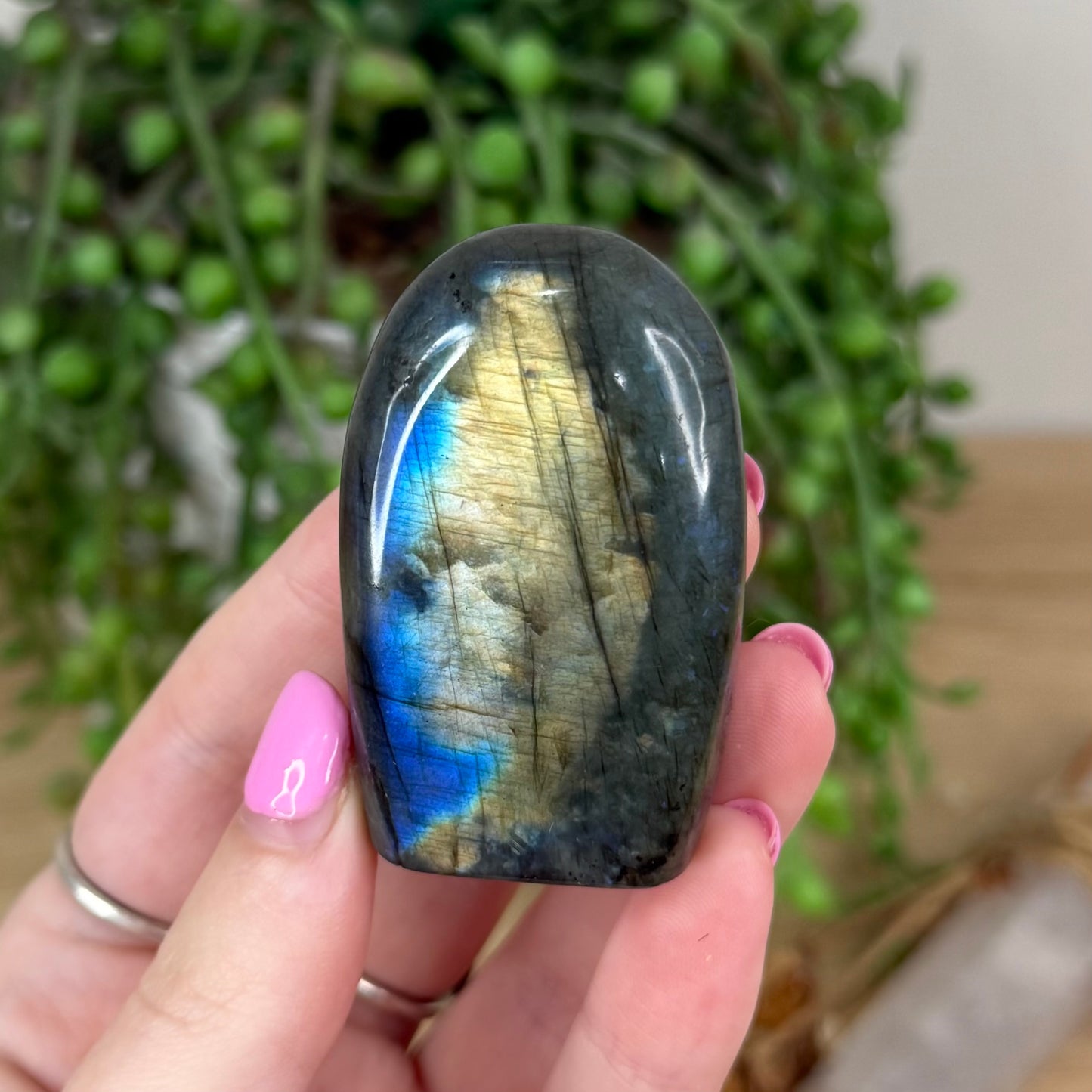 Labradorite Free Form (X443)
