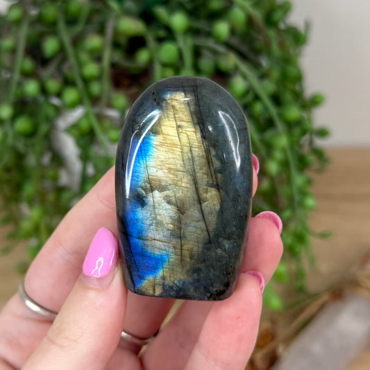 Labradorite Free Form (X443)
