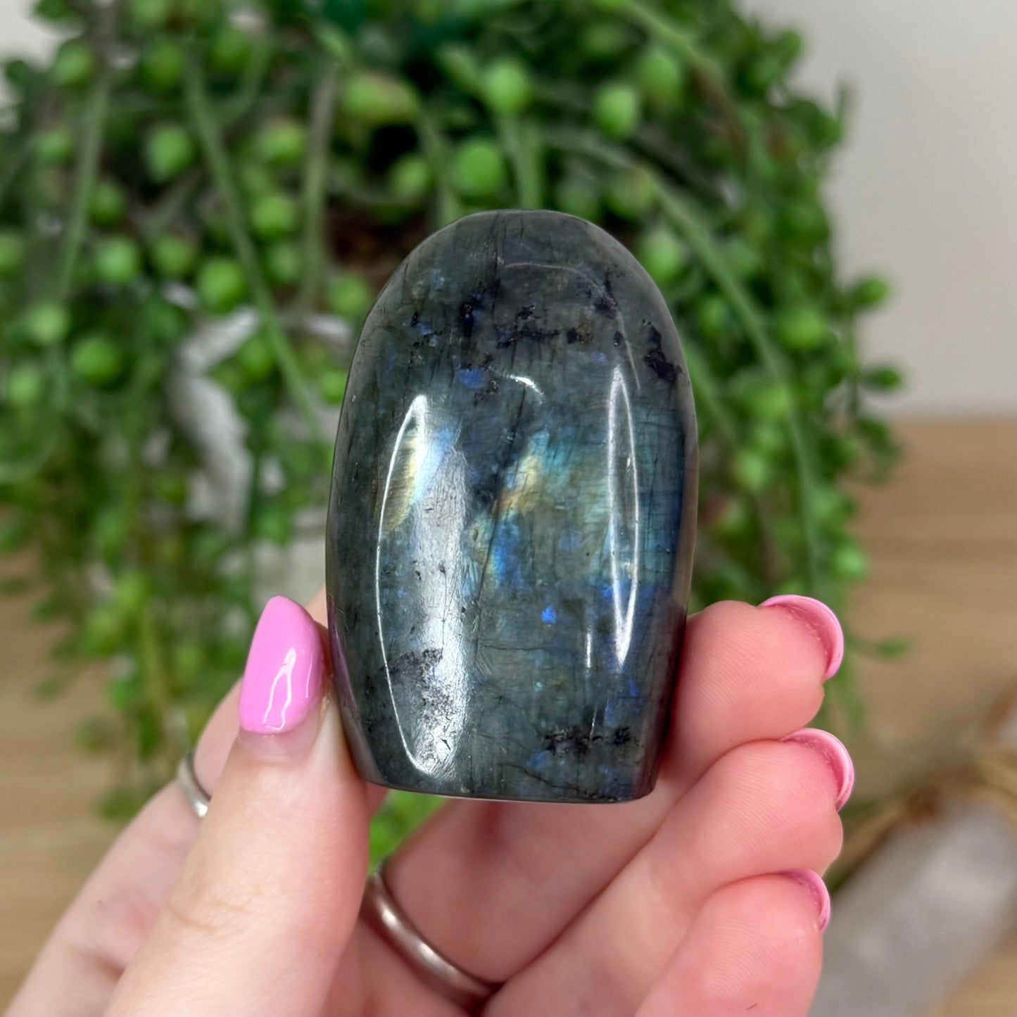 Labradorite Free Form (X443)