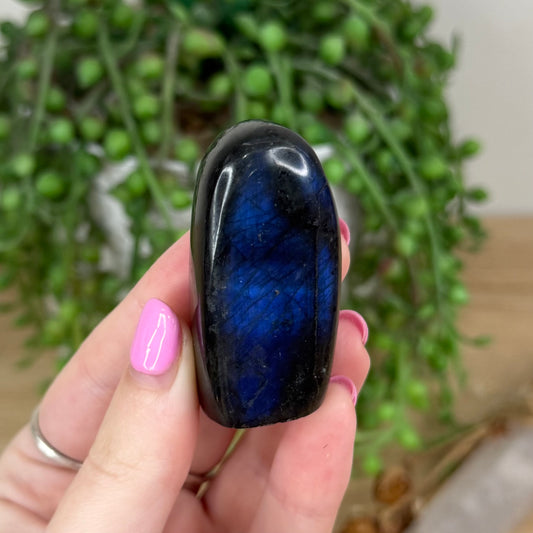 Labradorite Free Form (X441)