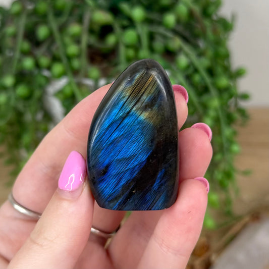Labradorite Free Form (X436)