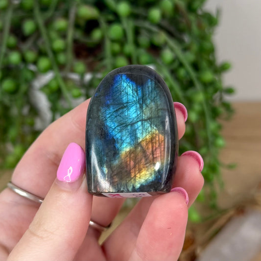 Labradorite Free Form (X435)