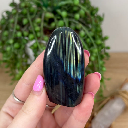 Labradorite Free Form (X442)
