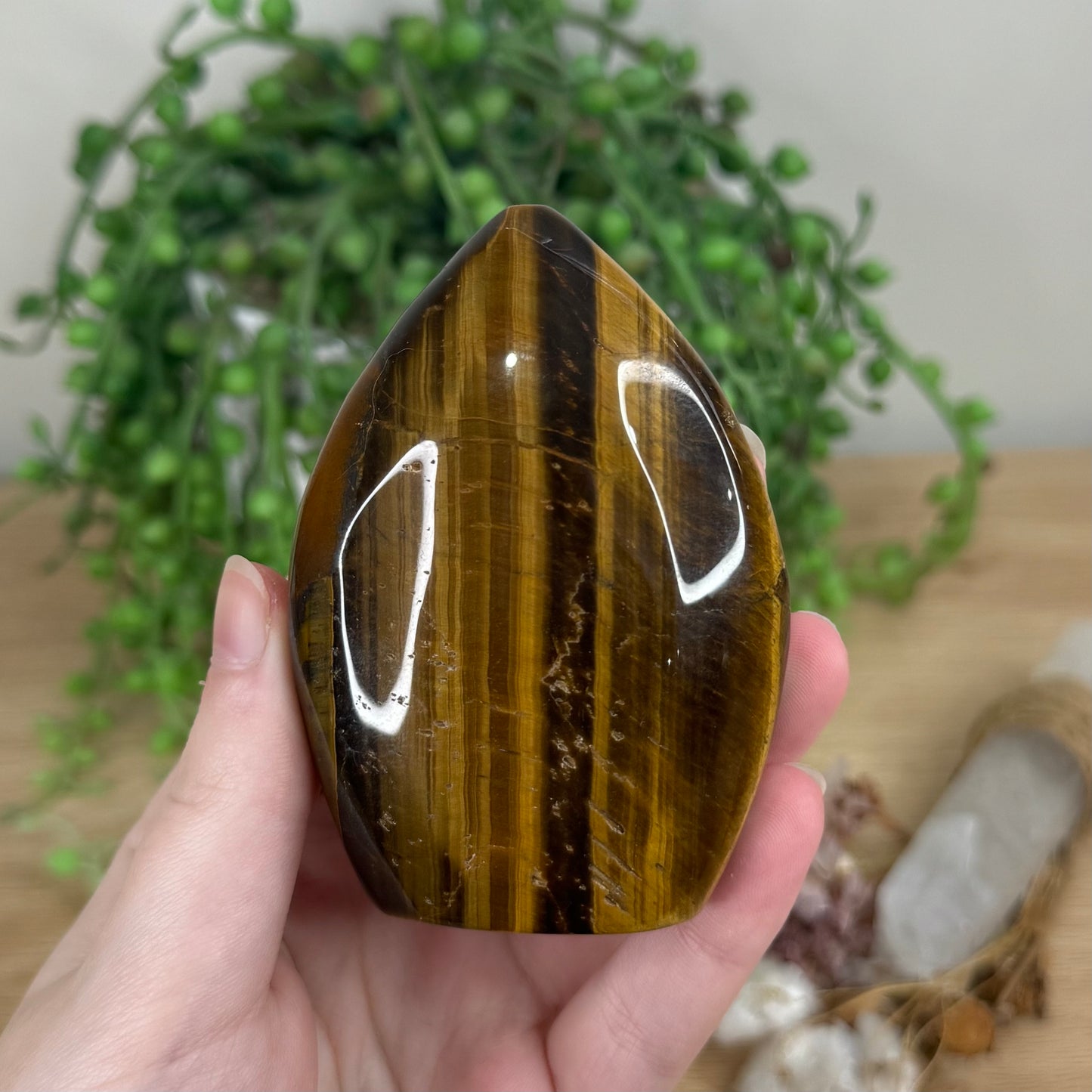 Tiger Eye Arch Free Form (R412)