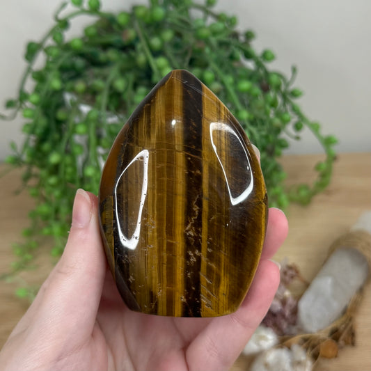 Tiger Eye Arch Free Form (R412)