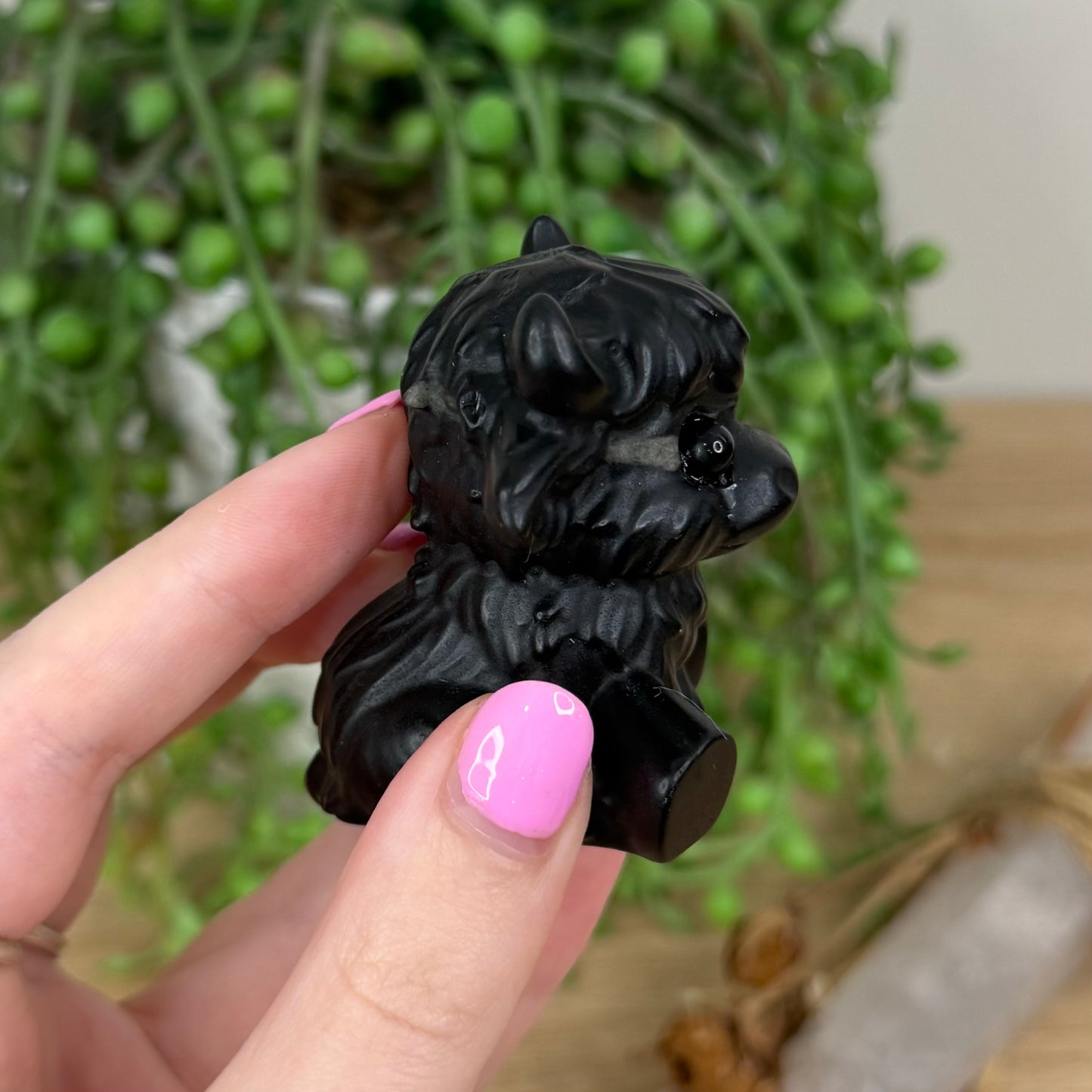 Black Obsidian Sitting Highland Cow (X397)