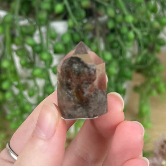 Garden Quartz Point (R427)