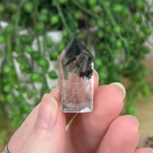 Garden Quartz Point (R421)