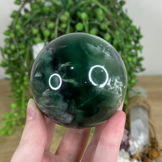 Green Feather Fluorite Sphere (N627)